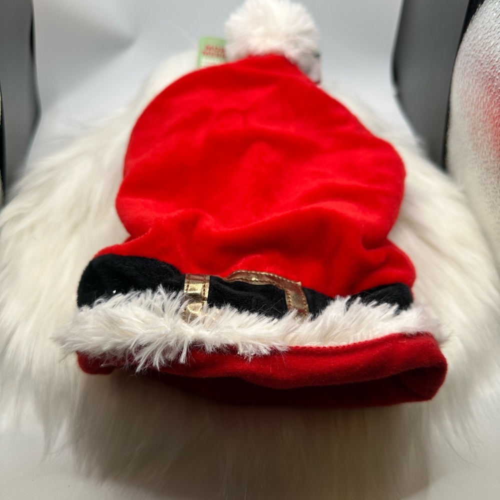 🩷5/$10 Guinea pig hideaway Red Santa Hat with Gold Buckle